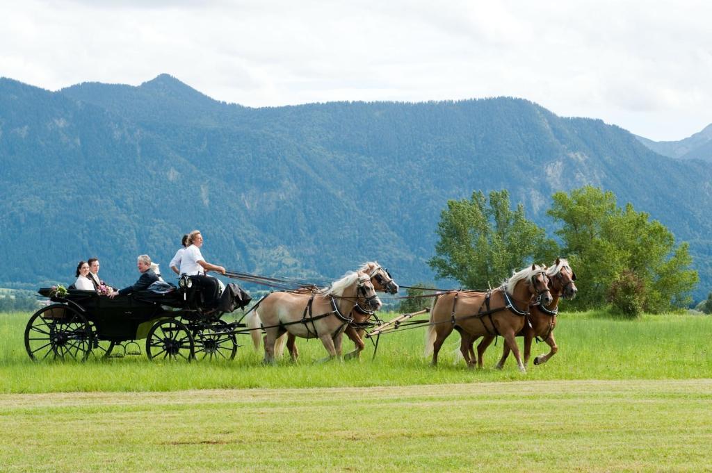 Alpenhof Murnau Мурнау ам Щафелзе Екстериор снимка